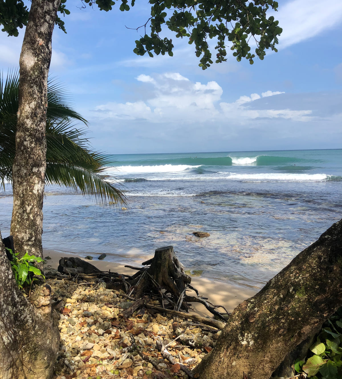 Przewodnik surfingowy Bocas